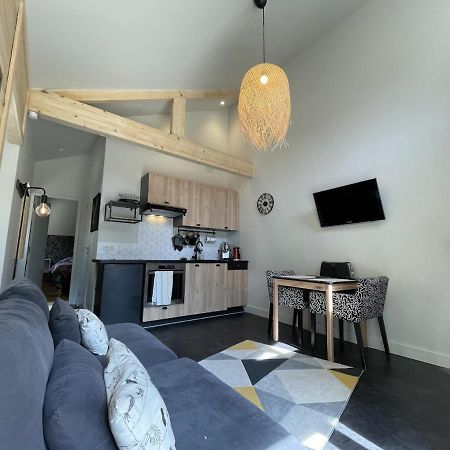 Ginkobiloba : Appartement Cosy En Coeur De Ville 바네르드비고르 외부 사진