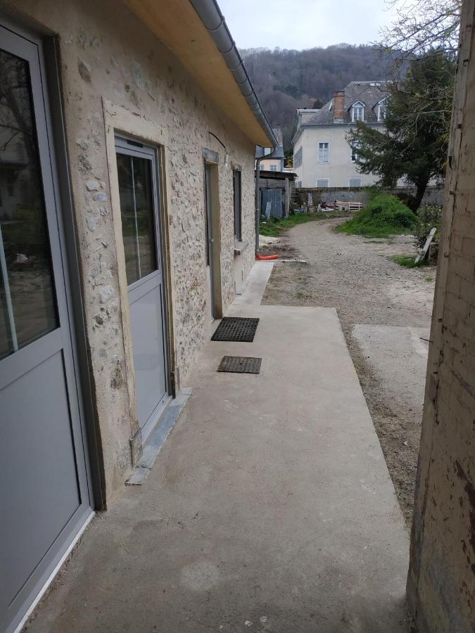 Ginkobiloba : Appartement Cosy En Coeur De Ville 바네르드비고르 외부 사진