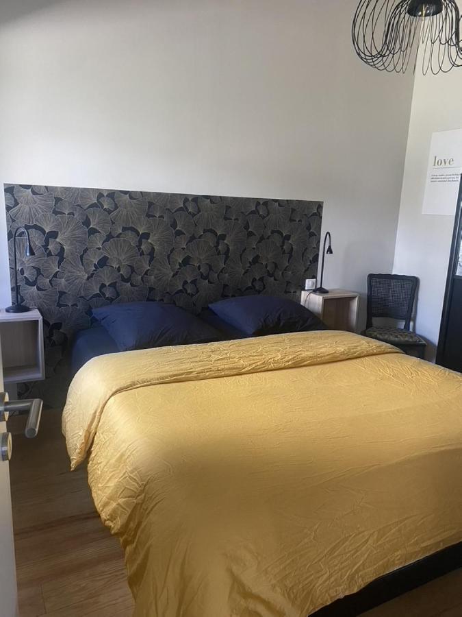 Ginkobiloba : Appartement Cosy En Coeur De Ville 바네르드비고르 외부 사진