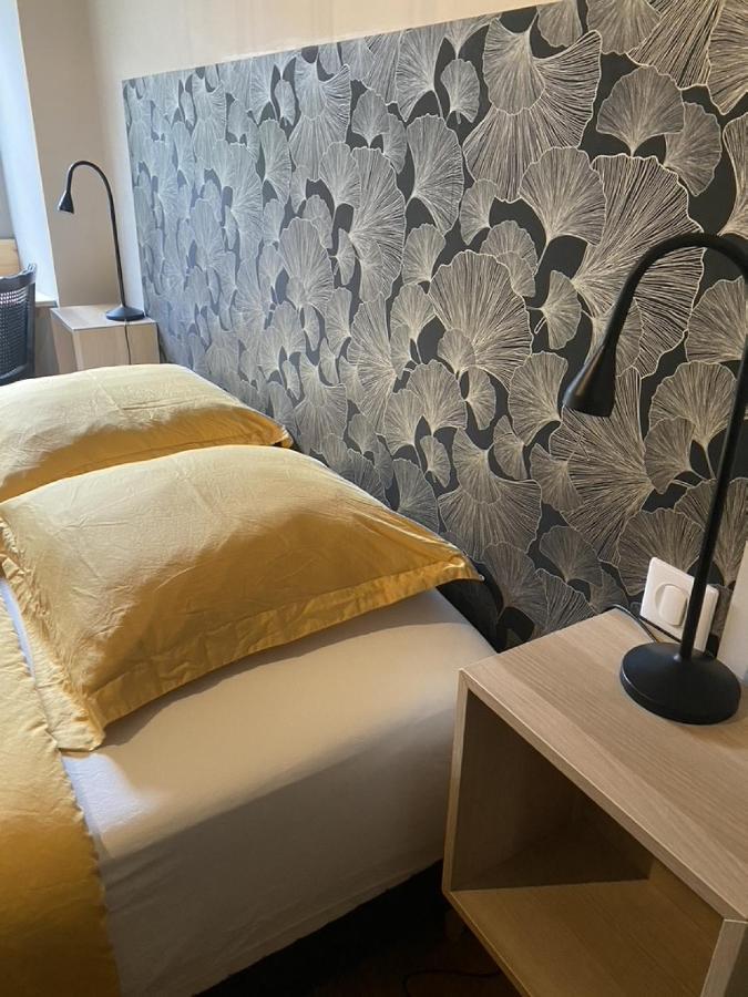 Ginkobiloba : Appartement Cosy En Coeur De Ville 바네르드비고르 외부 사진