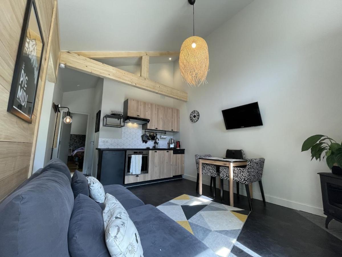 Ginkobiloba : Appartement Cosy En Coeur De Ville 바네르드비고르 외부 사진