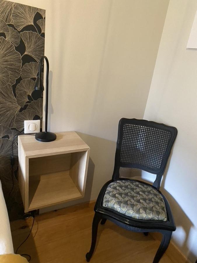 Ginkobiloba : Appartement Cosy En Coeur De Ville 바네르드비고르 외부 사진